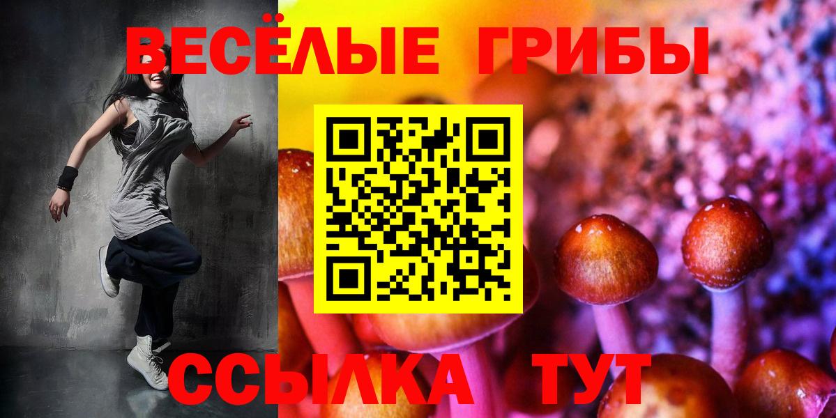 Галлюциногенные грибы ЛСД Новочеркасск